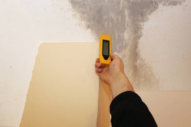Best Air Quality Testing for Mold Spores  in Bainbridge, OH