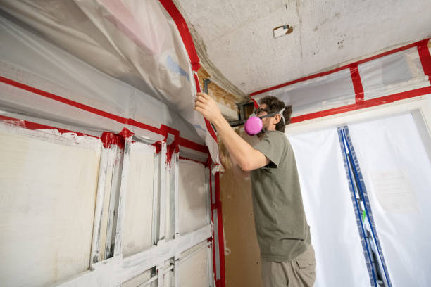 Best Commercial Mold Inspection  in Bainbridge, OH