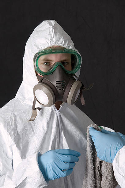 Best Mold Removal for HVAC Installations  in Bainbridge, OH